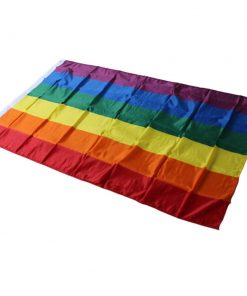 10 Pieces Rainbow Flag Polyester Gay Pride Flag with Brass Grommets Banner Hanging LGBT Flag For 9a23369e c306 4fe6 abf6 62fc4f85b96a - Lesbian Flag