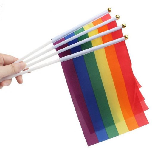 50 Pieces Rainbow Hand Held Flags PN0112 Default Title Official PAN FLAG Merch
