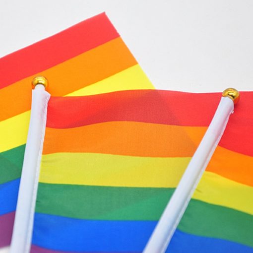 50 pcs Geminbowl Rainbow flag Hand Waving Gay Pride LGBT parade Les Bunting 14x21cm Geminbowl Brand 8546145a a46c 4caa 9f8f 8ac6066012b3 - Lesbian Flag
