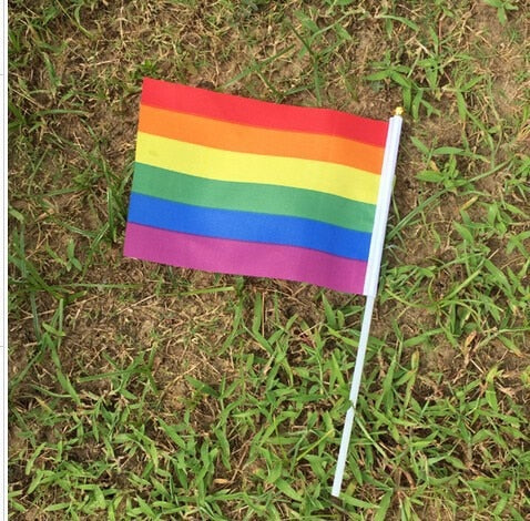 50 pcs Geminbowl Rainbow flag Hand Waving Gay Pride LGBT parade Les Bunting 14x21cm Geminbowl Brand 8780550e 095f 45be 8f62 b0eb52765d27 - Lesbian Flag