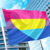 Bisexual Panromantic Pride Flag PN0112 2x3 ft(60x90 cm) / 2 Grommets left Official PAN FLAG Merch