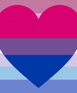 Bisexual Bigender Pride Flag PN0112 2x3 ft (60x90 cm) Official PAN FLAG Merch