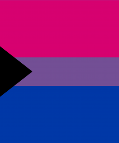 2x3 ft(60x90 cm) / Demibisexual / 4 Grommets Official PAN FLAG Merch