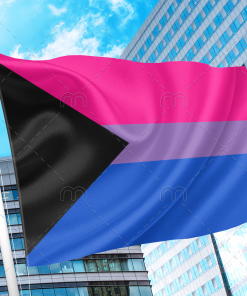 DemiBisexual Pride Flag PN0112 2x3 ft(60x90 cm) / Demibisexual / 2 Grommets left Official PAN FLAG Merch