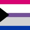 DemiBisexual Flag PN0112 2x3 ft (60x90xm) / 2 Left Grommets Official PAN FLAG Merch