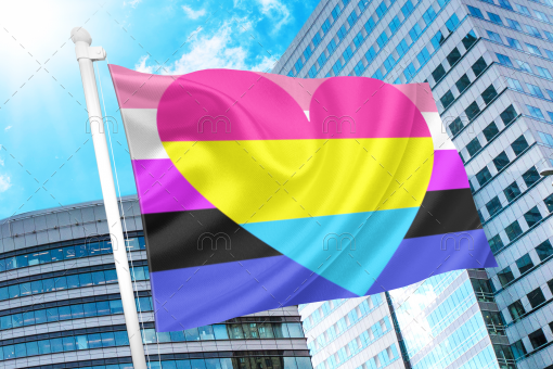 Genderfluid Pansexual Combo Pride Flag PN0112 2x3 ft(60x90 cm) / 2 Grommets left Official PAN FLAG Merch
