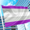Gray Asexual / Gray Aces / Graces / Graysexuals Pride Flag PN0112 2x3 ft (60x90cm) Official PAN FLAG Merch