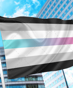 Librafluid Pride Flag PN0112 2x3 ft(60x90 cm) / Neutral Official PAN FLAG Merch