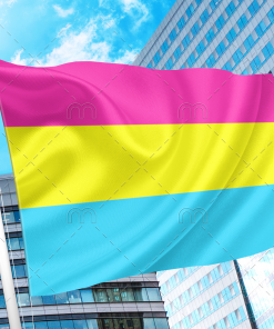 Pansexual LGBT Pride Flag PN0112 2x3 ft (60x90cm) Plain / 2 grommets left side Official PAN FLAG Merch