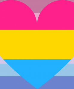 Bigender Pansexual Combo Pride Flag PN0112 2x3 ft (60x90 cm) Official PAN FLAG Merch