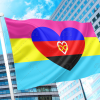 Polyamory Pansexual Combo Flag PN0112 2x3 ft (60x090 cm) / Infinity / 2 Grommets left Official PAN FLAG Merch