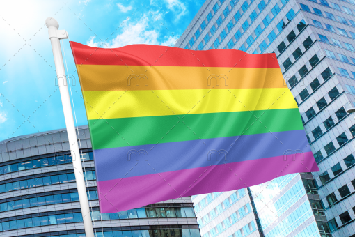 rainbo cf5c5c88 6787 4e97 b999 f60f2affc8aa - Lesbian Flag