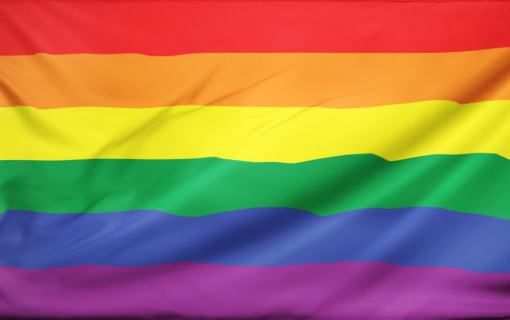 rainbowflag 0ee69b78 6fb7 425b 9e01 5a6368323f7e - Lesbian Flag